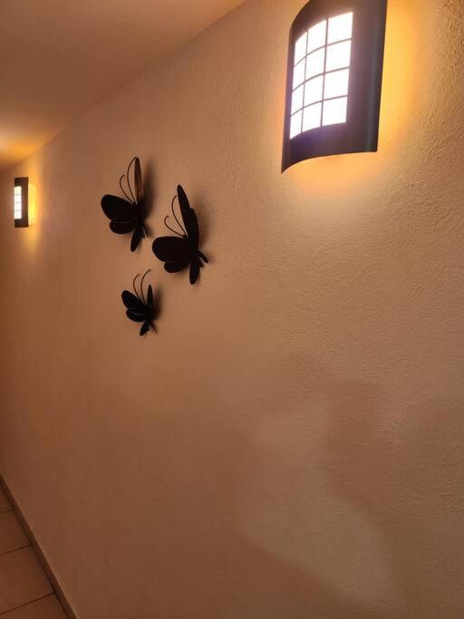 Appartamento Departamento De Lujo. Seguridad 24. Playa A Pasos. Acapulco Esterno foto